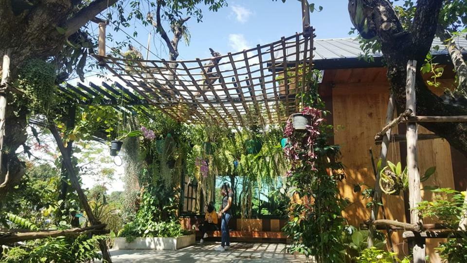Yayo Coffee And Bed Chiang Rai Exterior foto